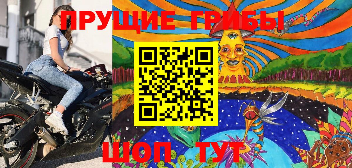 где найти   Галлюциногенные грибы ЛСД  Вход с VPN  Псилоцибиновые грибы мицелий  Камышлов 