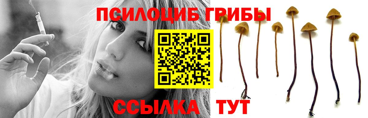 Псилоцибиновые грибы мухоморы Камышлов