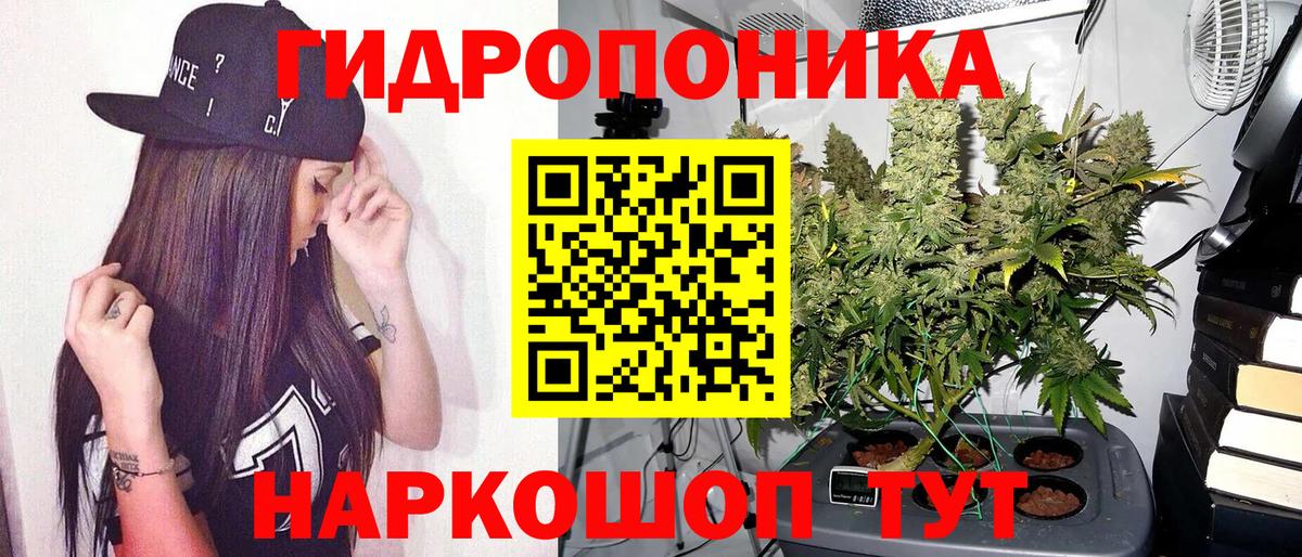 Бошки Шишки индика  Вход с VPN  Бошки марихуана ГИДРОПОН  Конопля LSD WEED  Каннабис конопля  Камышлов 